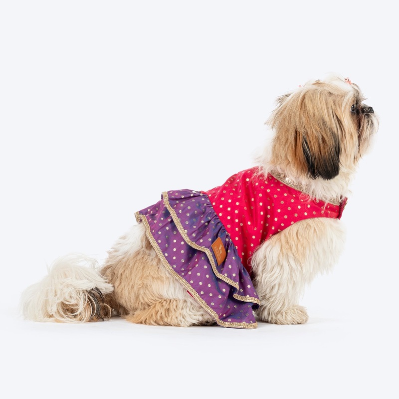HUFT Desi Glam Dress For Dog & Cat – Pink & Purple