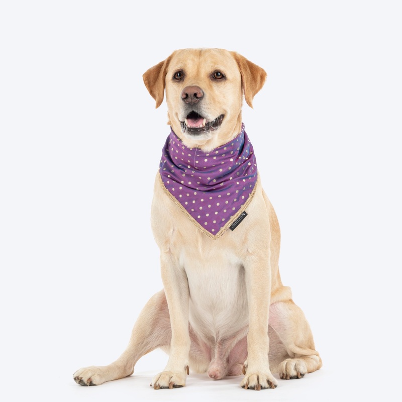 HUFT Desi Glam Knot Bandana For Dog – Purple