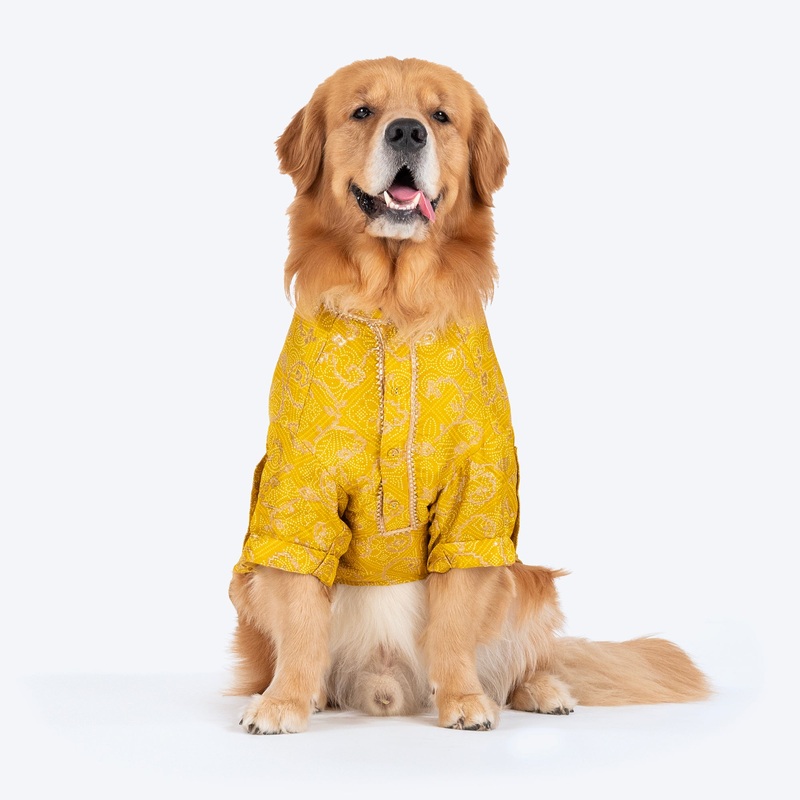 HUFT Festive Bliss Kurta For Dog – Yellow