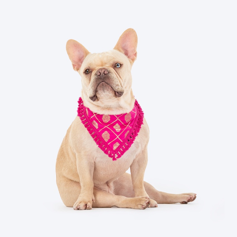 HUFT Gulabi Glow Bandana For Dog – Pink