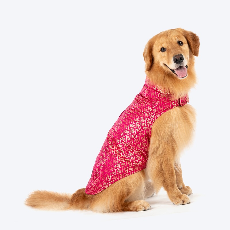 HUFT Petals & Pyaar Brocade Sherwani For Dog & Cat – Rani Pink