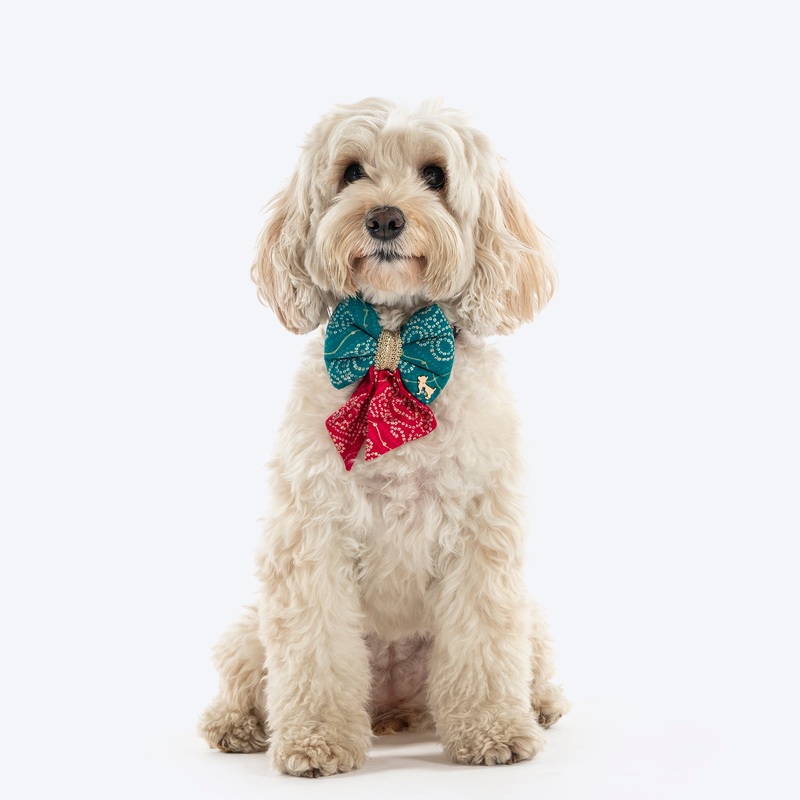 HUFT Rang Biranga Bow Tie For Dog – Green & Pink