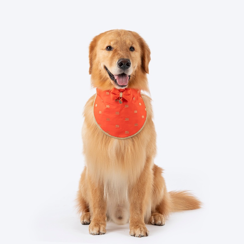 HUFT Royal Elephant Bandana For Dog – Orange