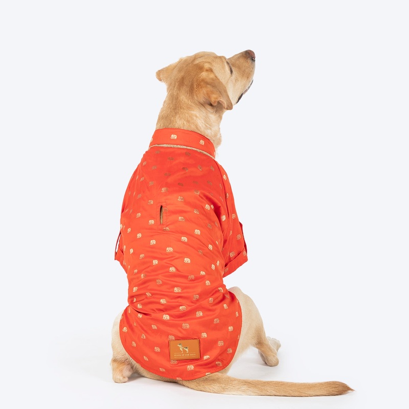 HUFT Royal Elephant Brocade Kurta For Dog & Cat – Orange