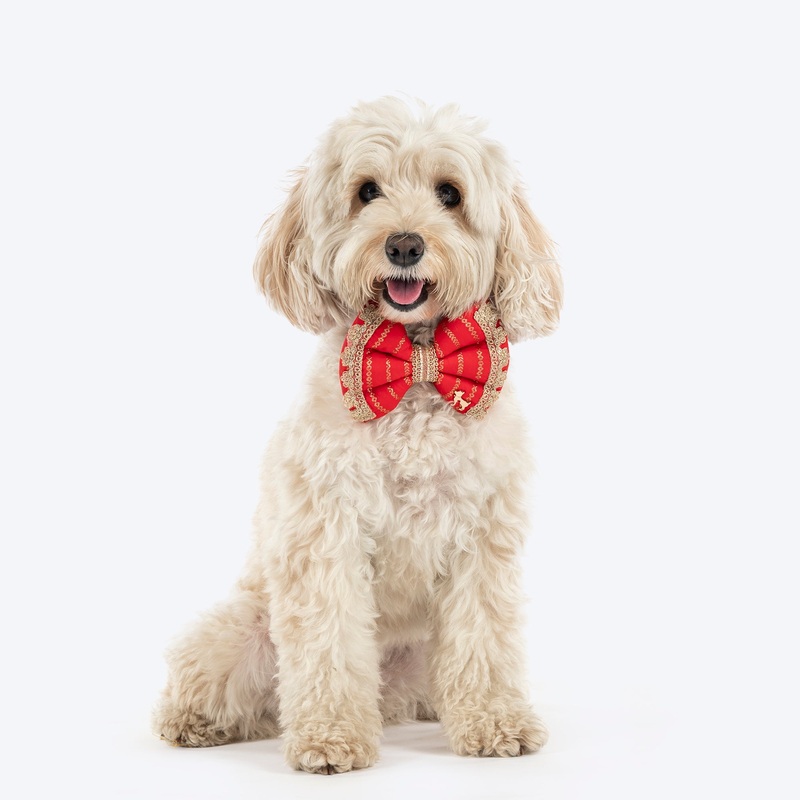 HUFT Royal Rang Bow Tie For Dog – Red