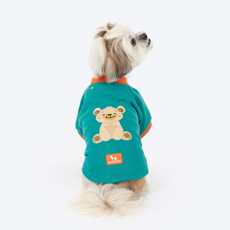 HUFT Sunny Bear Sweatshirt For Small Dog – Green