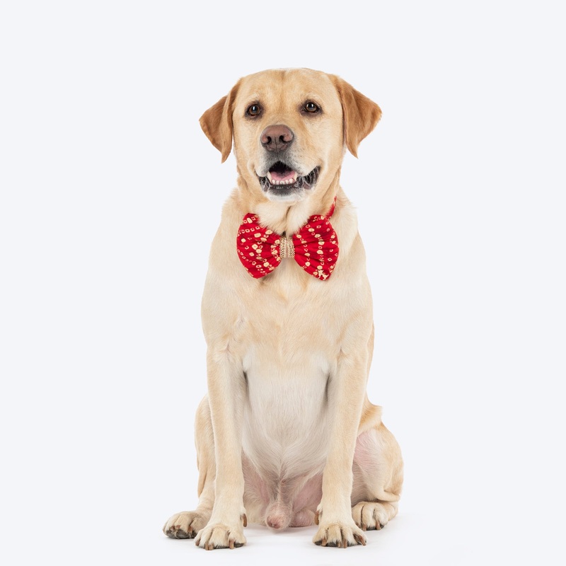 HUFT Super Sitara Bow Tie With Strap For Dog – Red