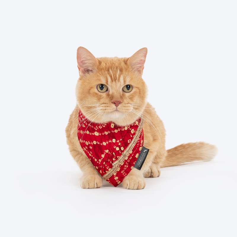 HUFT Super Sitara Scarf For Cat & Puppy – Red