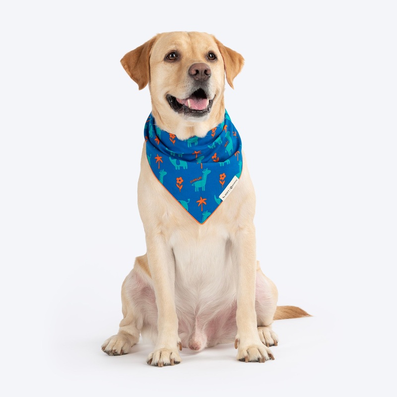 HUFT X Pinklay Jungle Joyride Knot Bandana For Dog – Blue & Orange