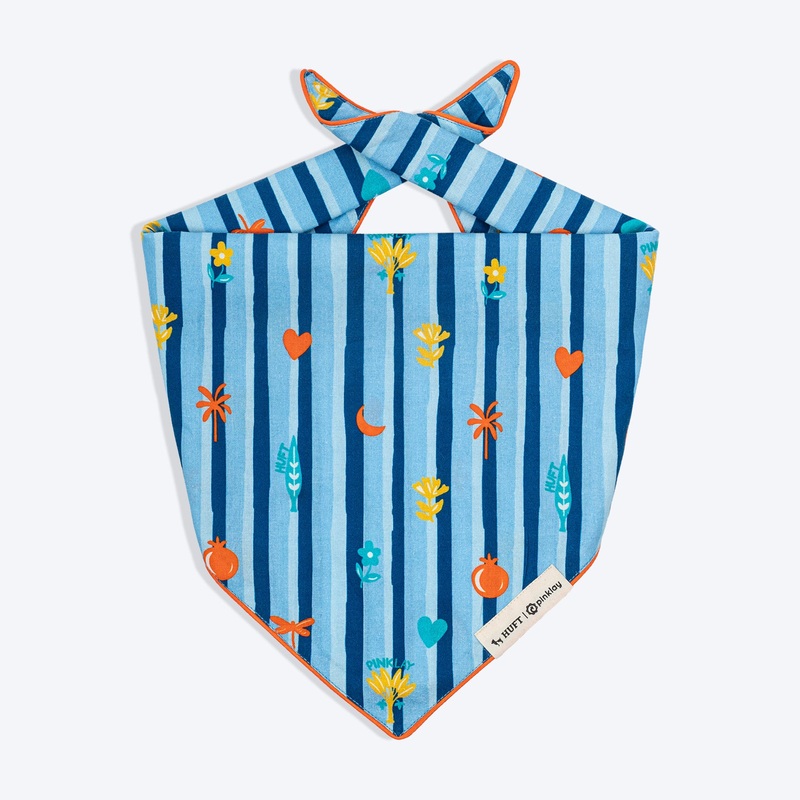 HUFT X Pinklay Strut In Stripes Knot Bandana For Dog – Blue & Orange