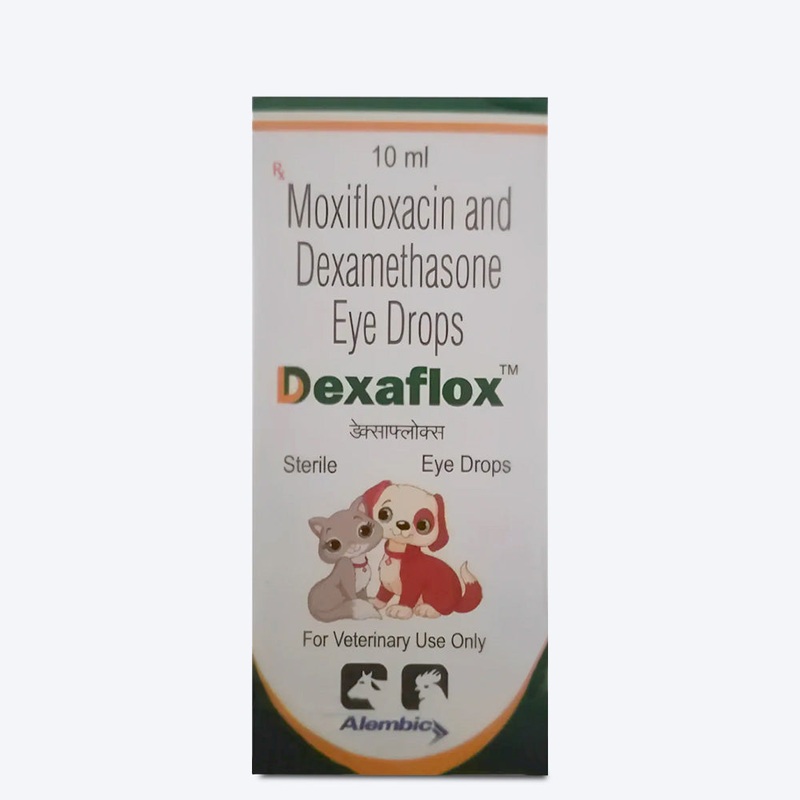 Intas Dexaflox Eye Infection Treatment Eye Drops For Dog & Cat – 10 ml