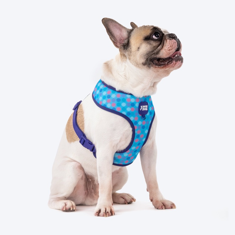 Dash Dog Circle Double Harness – Aqua Blue & Lavender