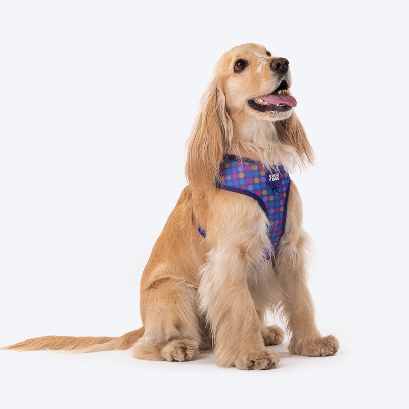 Dash Dog Circle Reversible Harness – Violet & Red