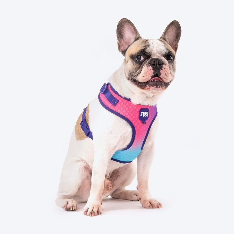 Dash Dog Flow Easy Walk Harness – Pink & Aqua Blue