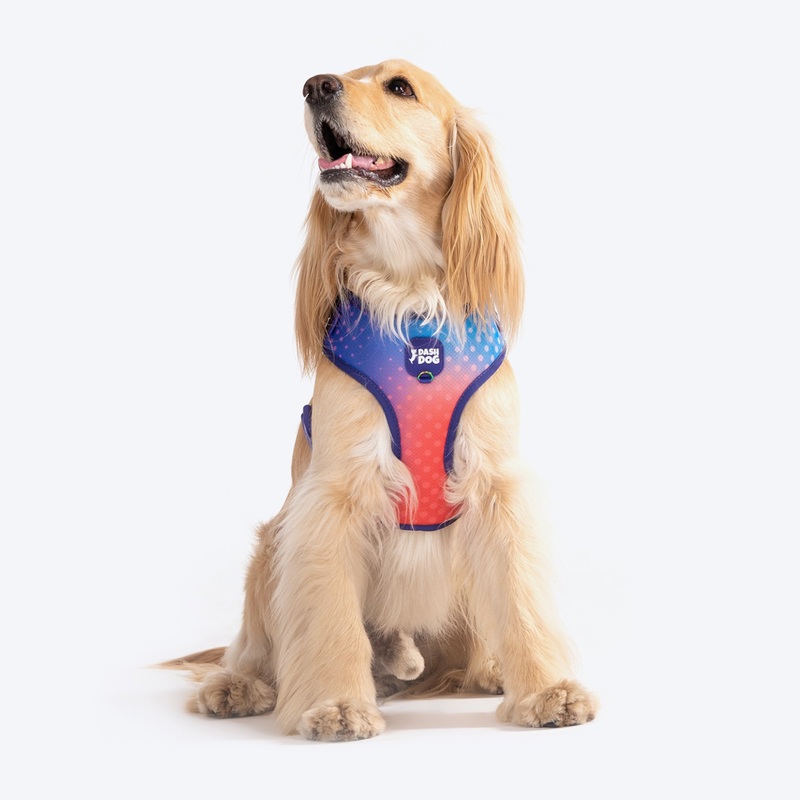 Dash Dog Flow Easy Walk Harness – Violet & Red