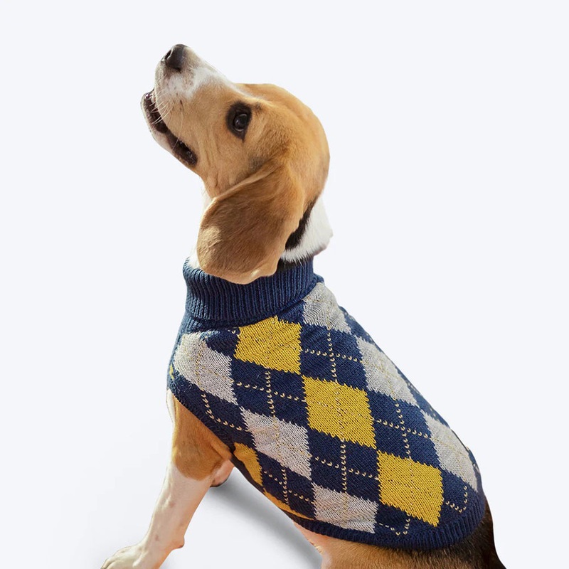 HUFT Argyle Dog Sweater – Navy