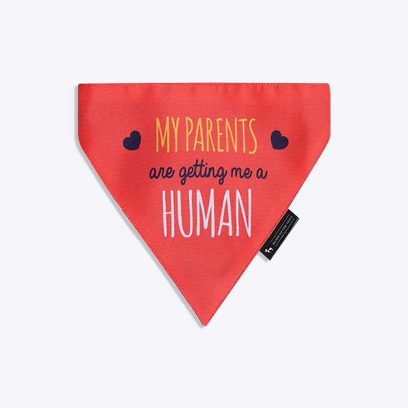 HUFT Baby Announcement Dog Bandana(Made to Order)