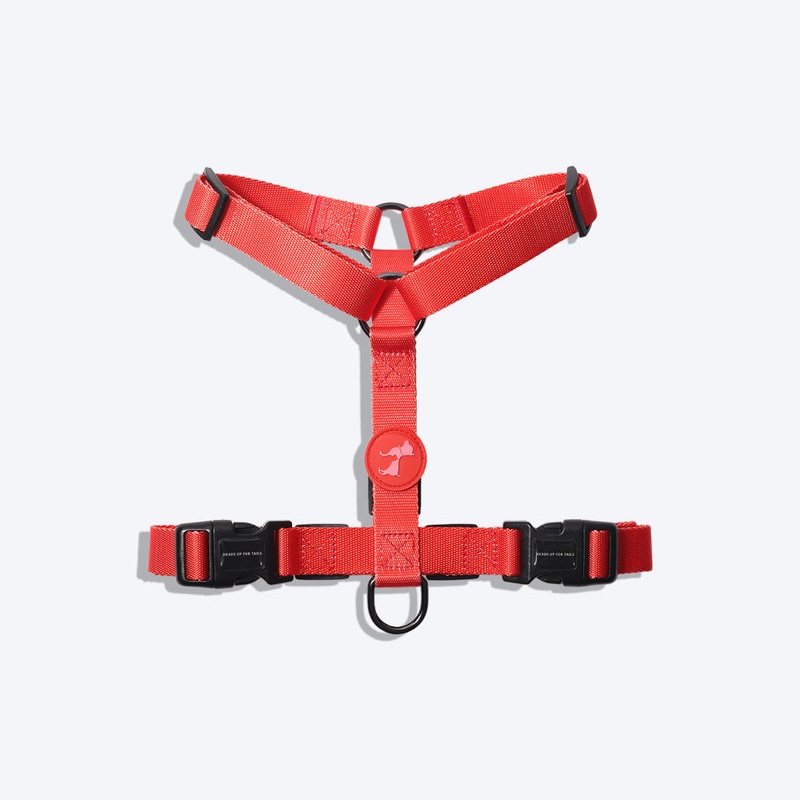 HUFT Classic Dog H Harness – Red