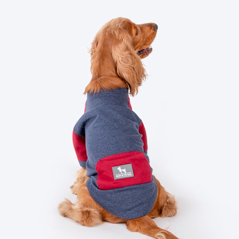 HUFT Colour Block Pocket Pet Sweatshirt – Blue Melange and Red
