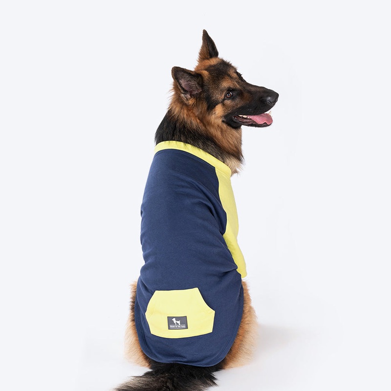 HUFT Colour Block Pocket Pet Sweatshirt – Neon Lime and Navy