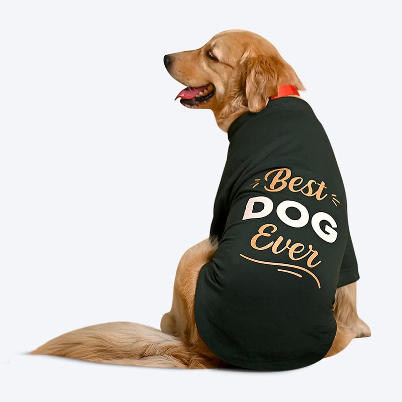 HUFT Fleece Dog Sweatshirt – Dark Green