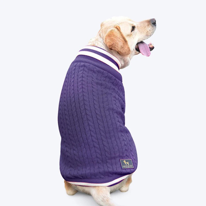 HUFT Fuzzy Buddy Dog Sweater – Purple