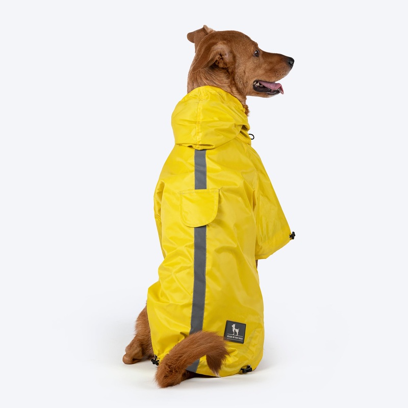 HUFT Magical Mist Dog Raincoat (Made to Order)
