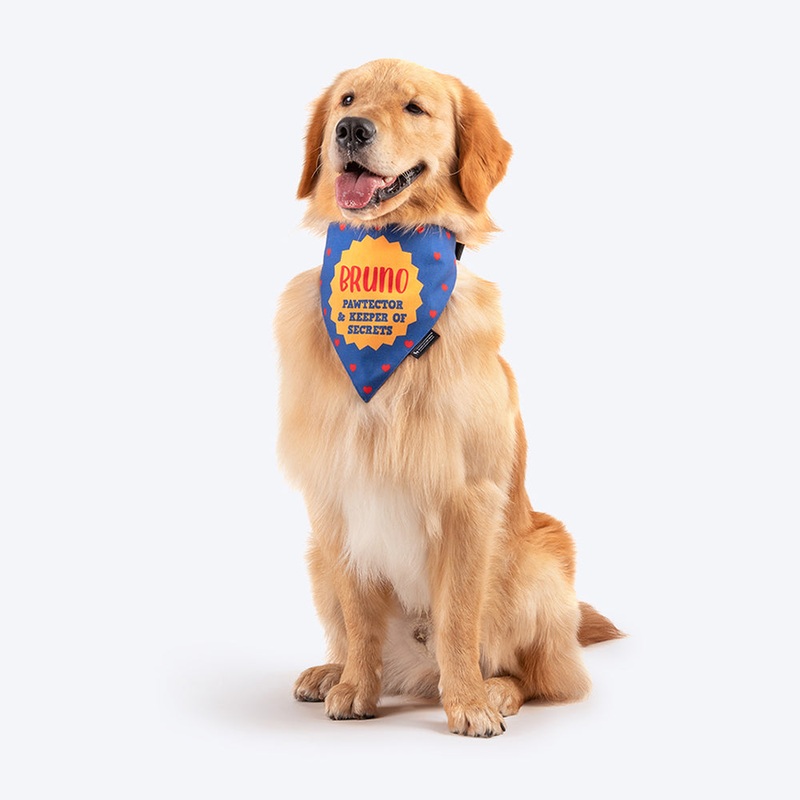 HUFT Personalised Brother – Pawtector & Keeper of Secrets Dog Bandana