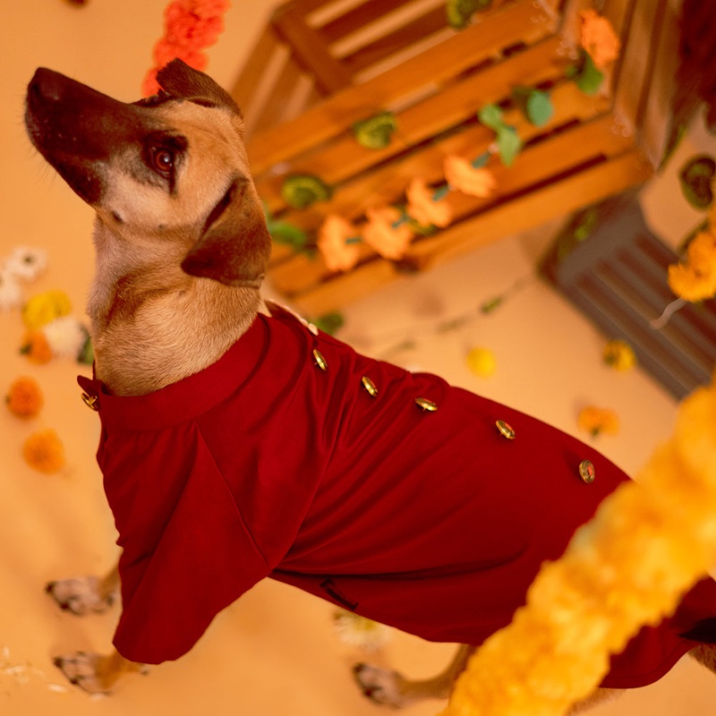 HUFT Personalised Dog Burgundy Bandh Gala with Pocket Square & Buttons