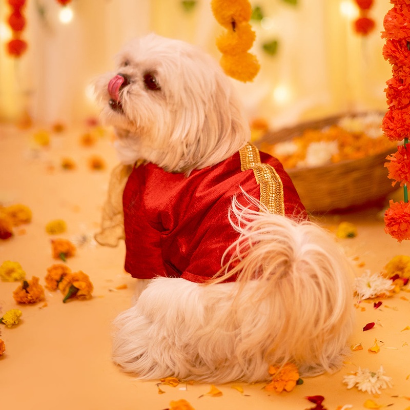 HUFT Personalised Dog Kurta with Sequins & Dupatta – Red