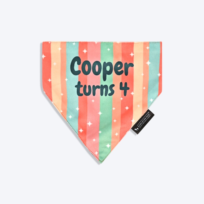 HUFT Personalised Funfetti Birthday Dog Bandana