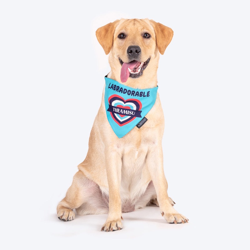 HUFT Personalised Labradorable (Pet’s Name) Bandana