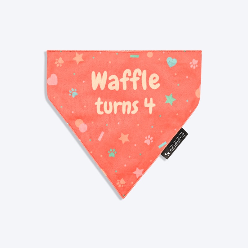 HUFT Personalised Party Starter Birthday Dog Bandana – Coral