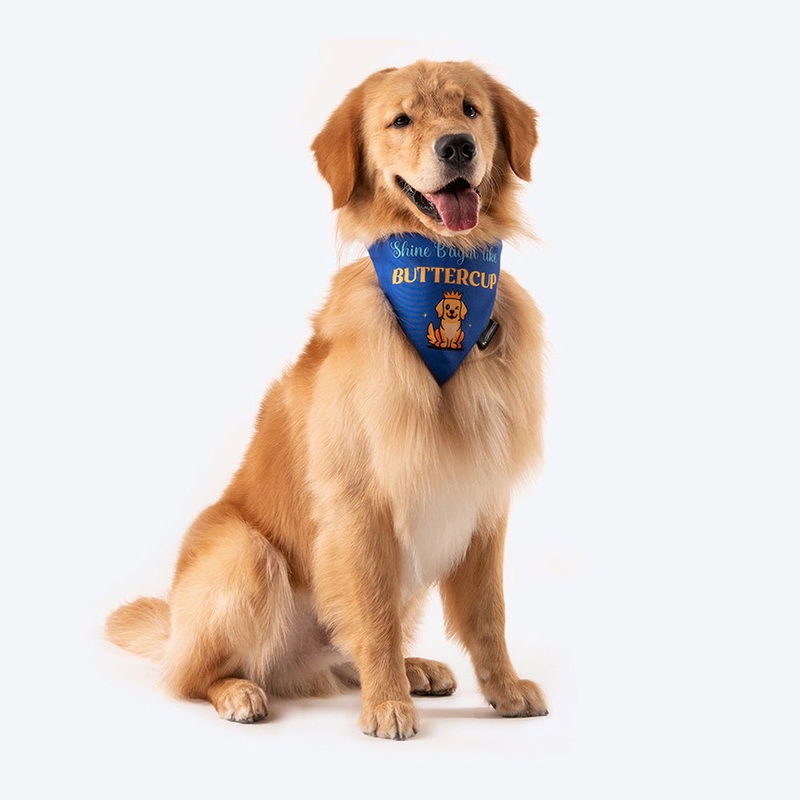 HUFT Personalised Shine Bright Like (Pet’s Name) Bandana