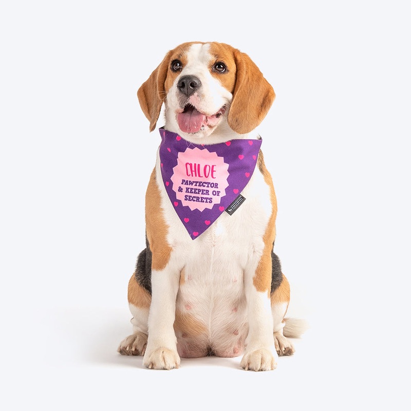 HUFT Personalised Sister – Pawtector & Keeper of Secrets Dog Bandana