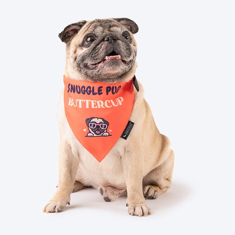 HUFT Personalised Snuggle Pug (Pet’s Name) Bandana