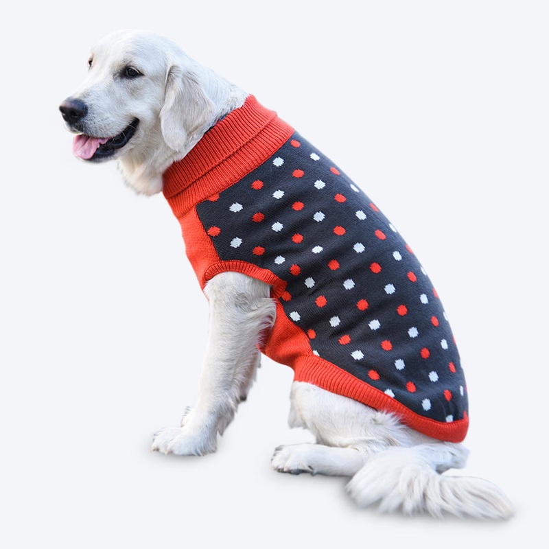 HUFT Polka Dog Sweater – Dotted Dark Grey