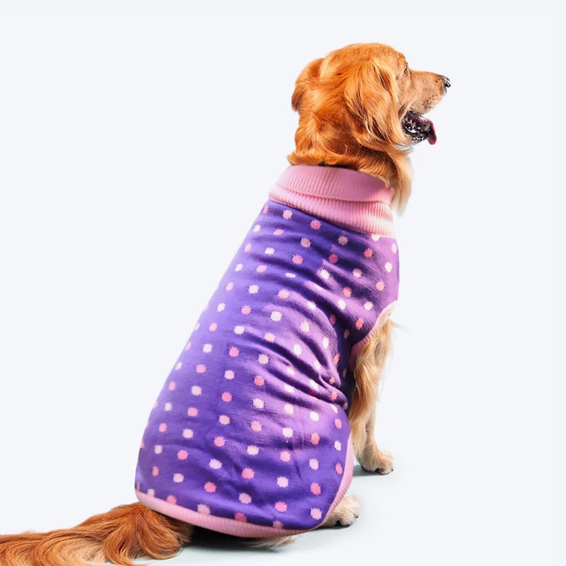 HUFT Polka Dog Sweater – Dotted Purple