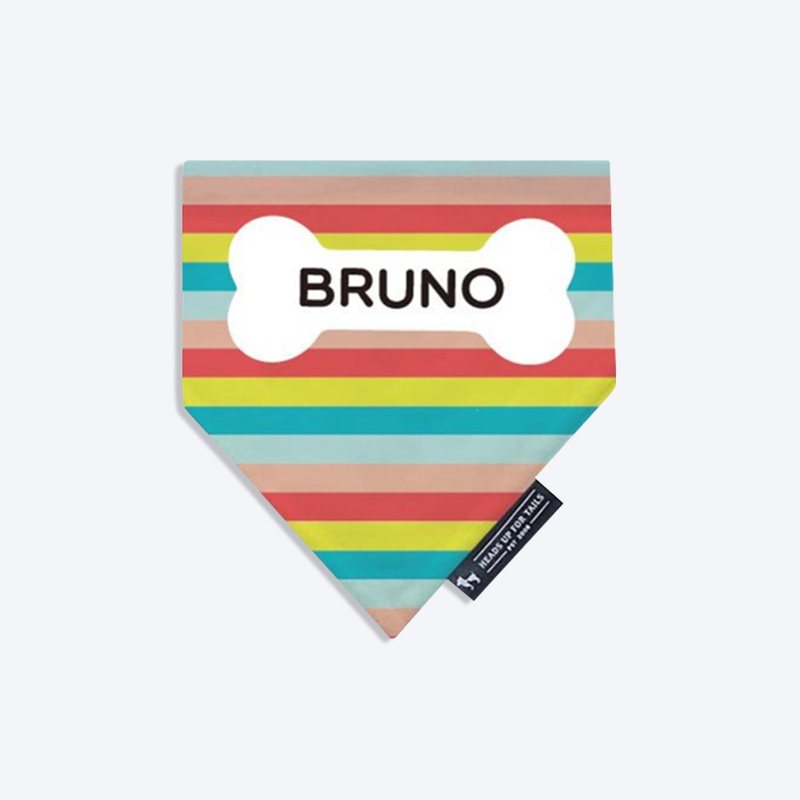 HUFT Rainbow Popsicle Personalised Dog Bandana