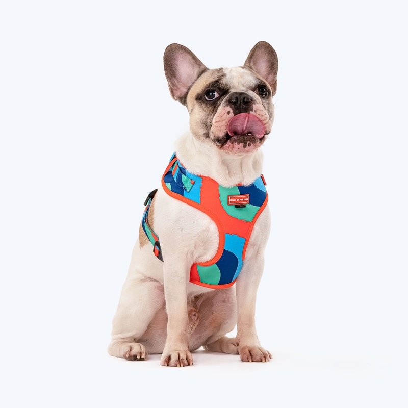 HUFT Wild Waves Dog Adjustable Harness