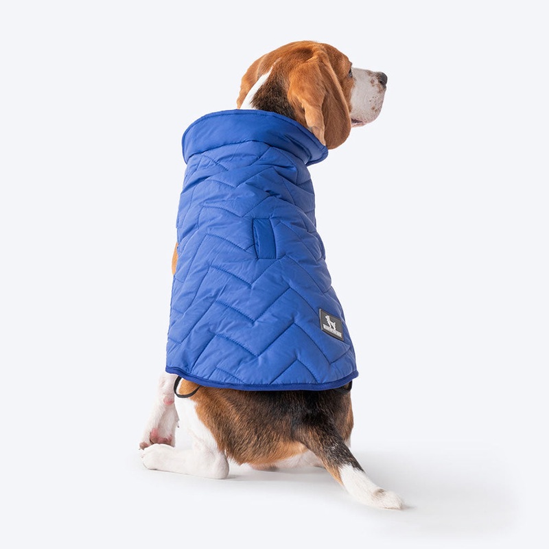 HUFT Wintersong Corduroy Reversible Dog Jacket – Blue