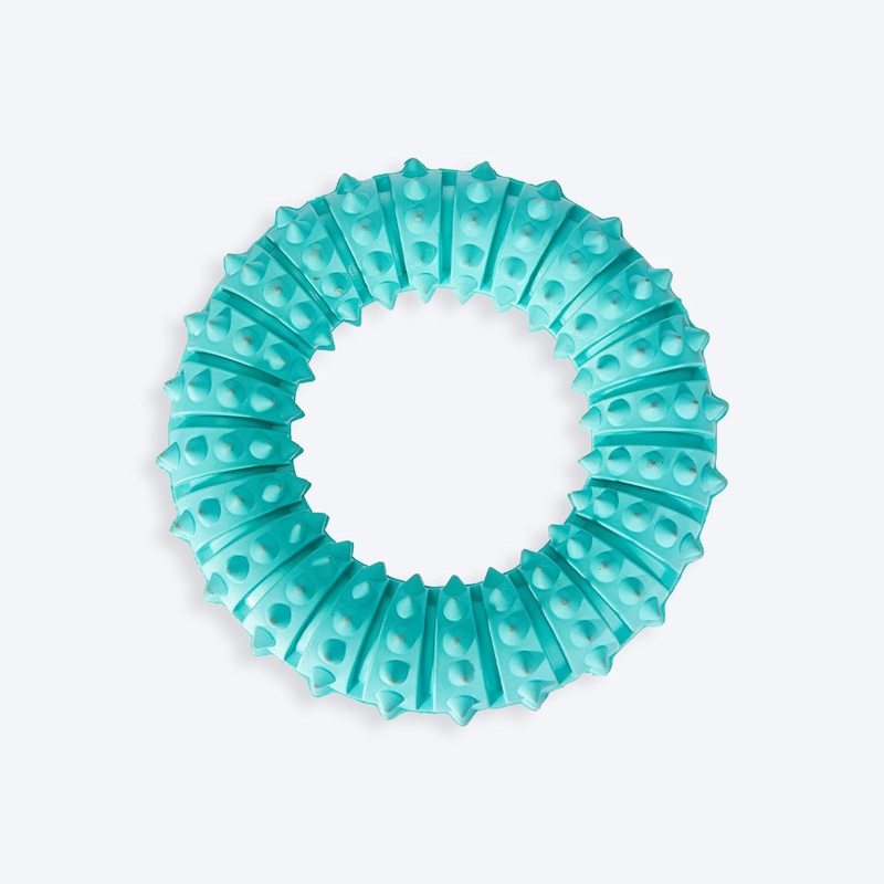 Trixie Natural Denta Fun Ring, Mint Flavour Dog Toy – 12 cm