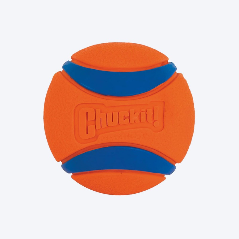 Chuckit! Ultra Ball Dog Toy – Orange & Blue