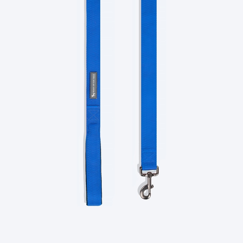 HUFT Basics Dog Leash – Cobalt Blue