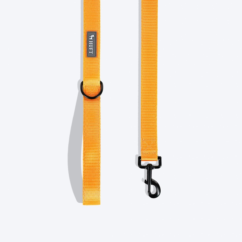HUFT Basics Dog Leash – Yellow