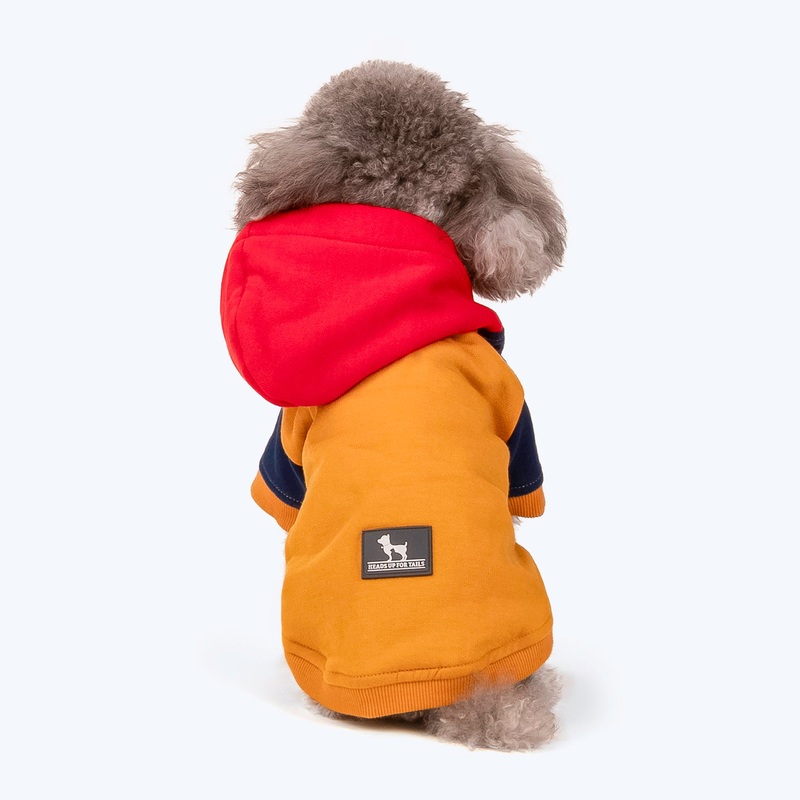 HUFT Colour Block Hoodie Pet Sweatshirt – Mustard