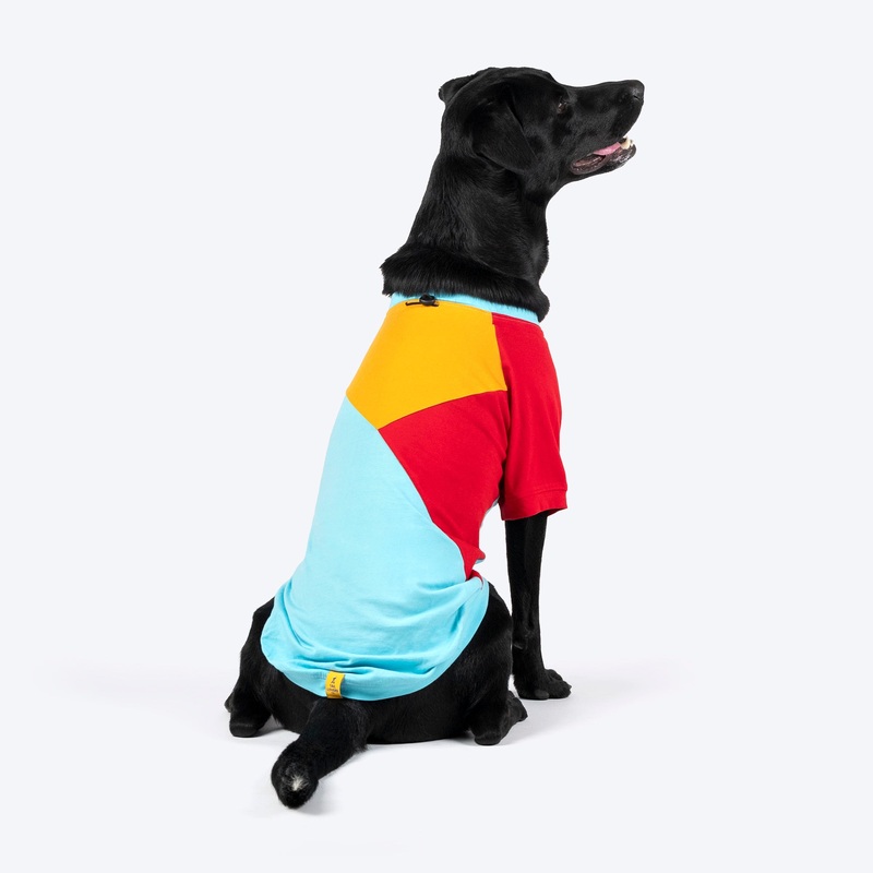 TLC Color Block T-Shirt For Dogs – Blue
