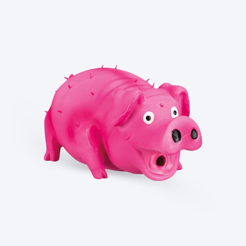 Trixie Bristle Pig With Animal Sound Latex Squeaky Dog Toy – Assorted – 21 cm