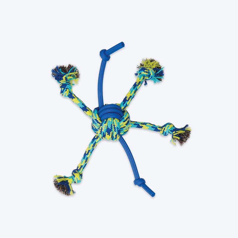 Zeus Fitness Rope & TPR Spider Ball Fetch Dog Toy – Green/Blue