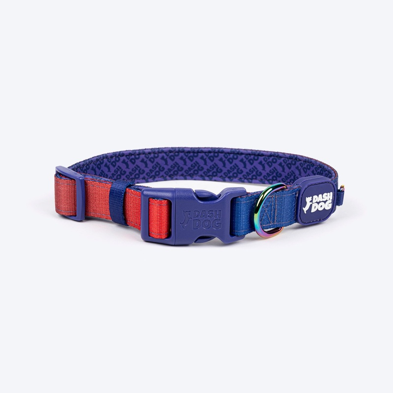 Dash Dog Flow Padded Collar For Dog – Red & Purple